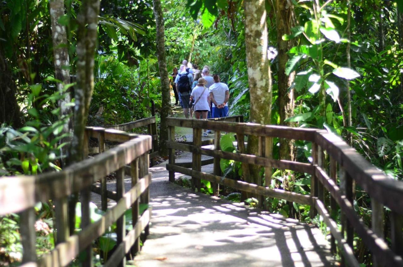Veragua Rainforest Puerto Limon Luaran gambar